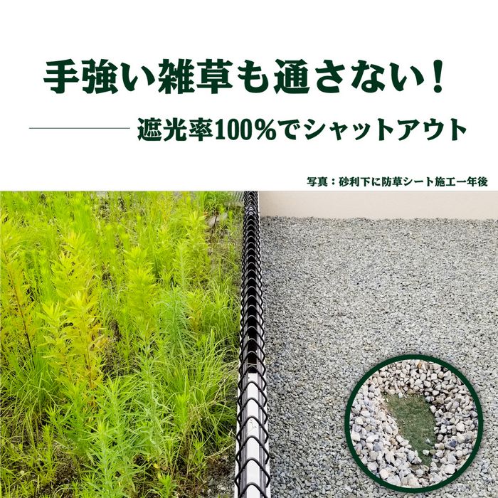 【防草シート一体型】人工芝 ロール 0.9m巾×5m 1.8m巾×5m 透水 夏芝 冬芝 防草シート