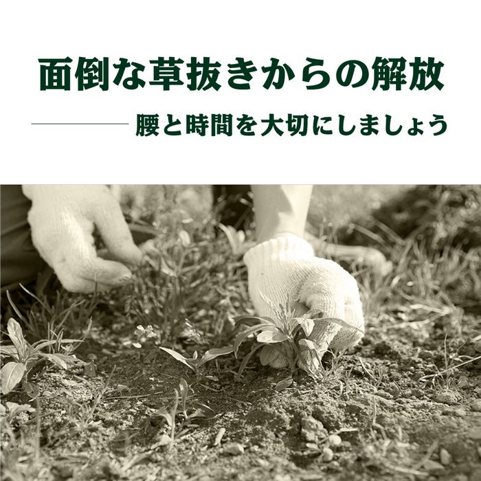 【防草シート一体型】人工芝 ロール 0.9m巾×5m 1.8m巾×5m 透水 夏芝 冬芝 防草シート