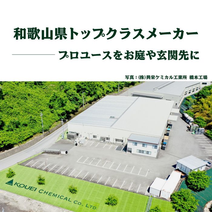 【防草シート一体型】人工芝 ロール 0.9m巾×5m 1.8m巾×5m 透水 夏芝 冬芝 防草シート