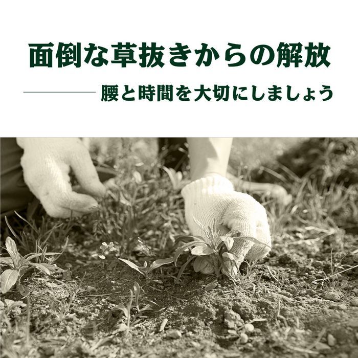 【固定用面ファスナー】 150mm巾×5m 人工芝 連結部